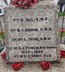 5. Names Panel 2